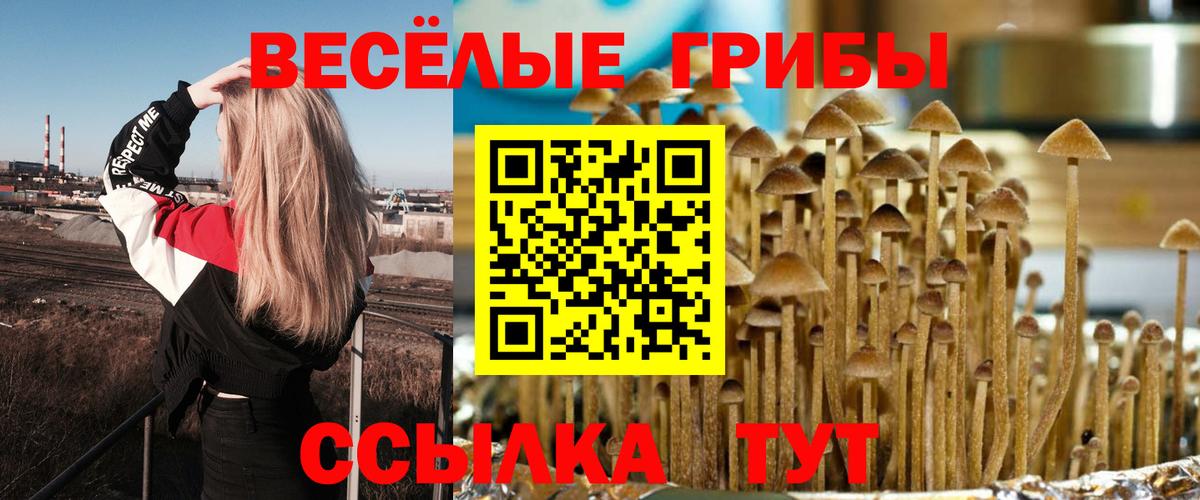 Псилоцибиновые грибы GOLDEN TEACHER  Галлюциногенные грибы ЛСД  Муром  Вход с VPN 