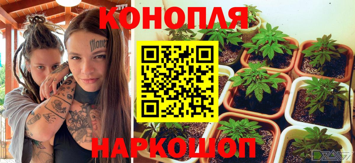 Муром  Бошки Шишки White Widow  Каннабис конопля  Вход с VPN  Марихуана THC 21% 